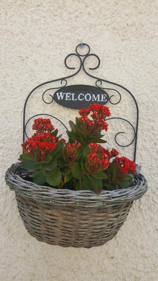 B&B In Sabina Poggio Nativo 外观 照片