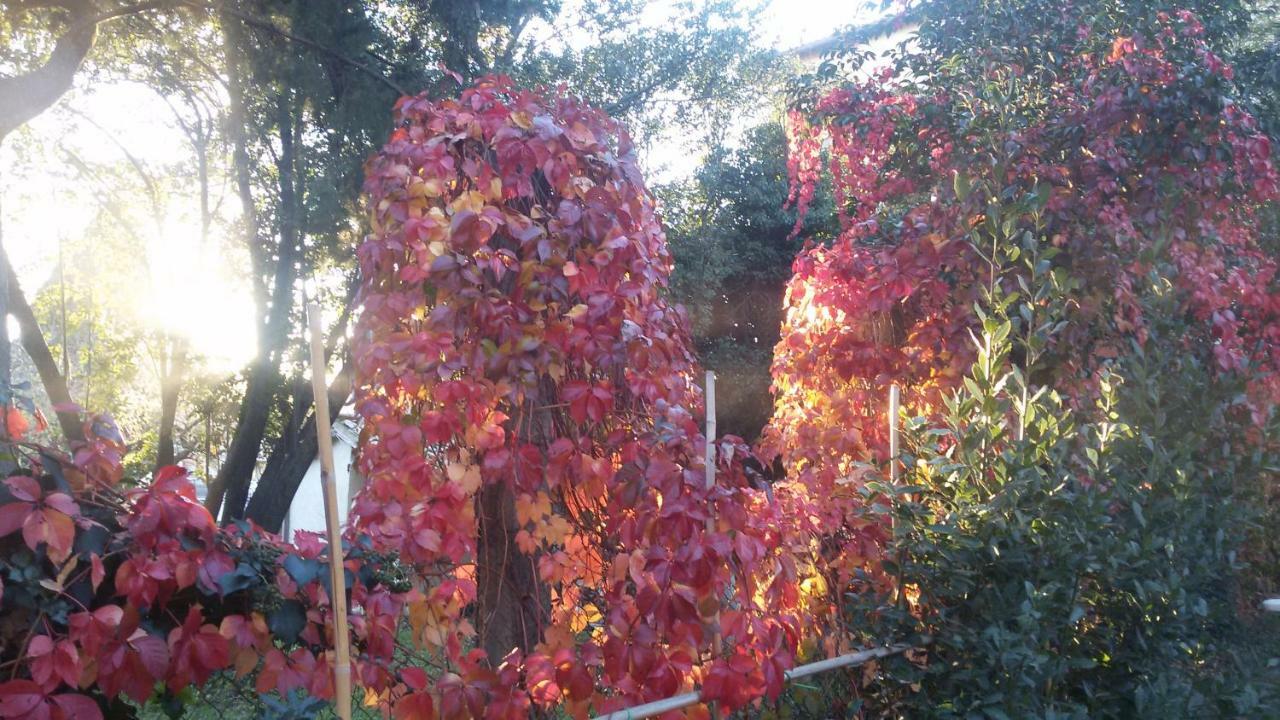 B&B In Sabina Poggio Nativo 外观 照片