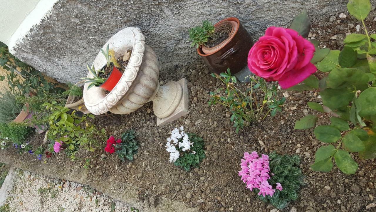 B&B In Sabina Poggio Nativo 外观 照片