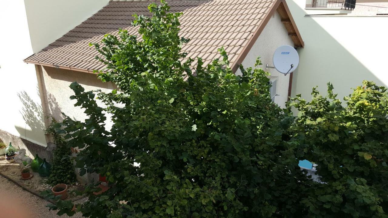 B&B In Sabina Poggio Nativo 外观 照片