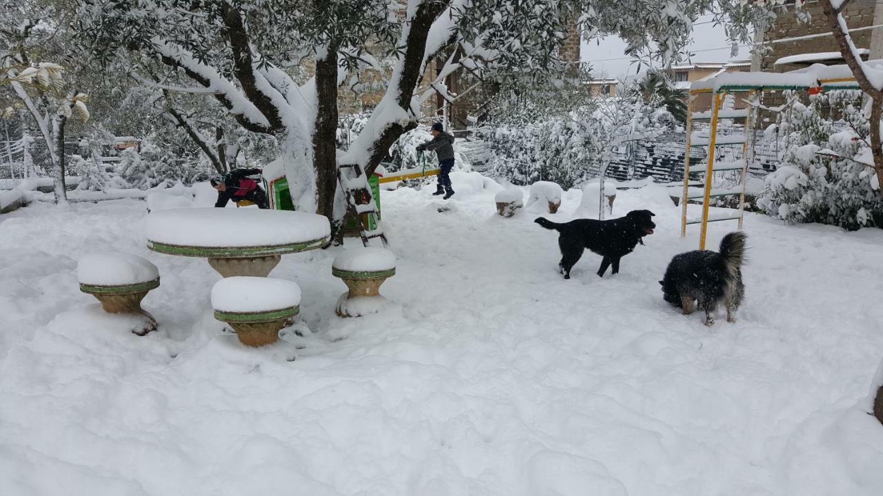 B&B In Sabina Poggio Nativo 外观 照片
